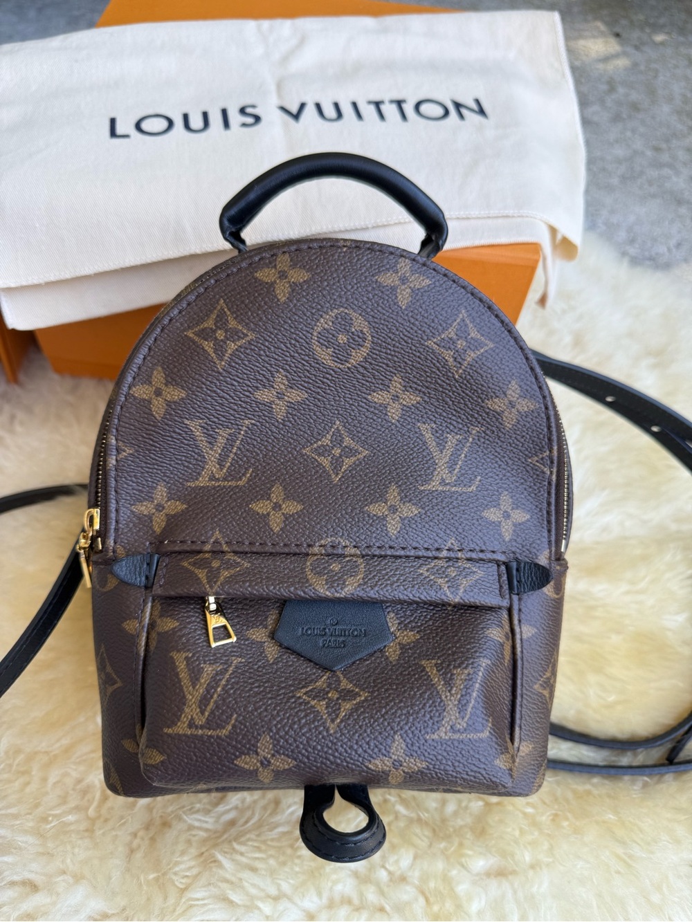 Louis Vuitton Brown Monogram Mini Palm Springs Backpack with Black Handle